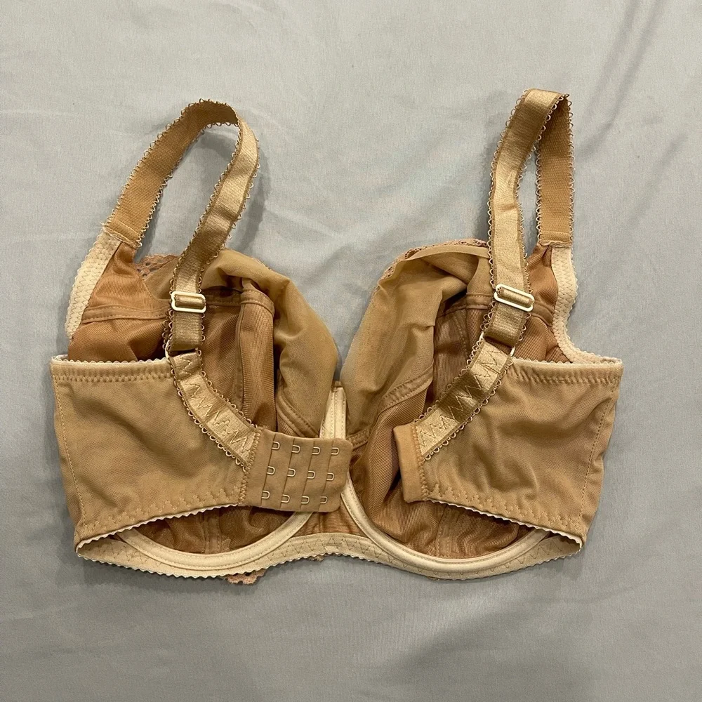 Ewa Michalak BM Bra - Picture 2 of 3